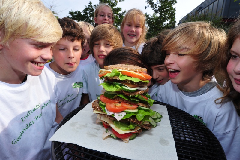 Eine hochwertige Saftpresse für die gesunde Ernährung zu gewinnen